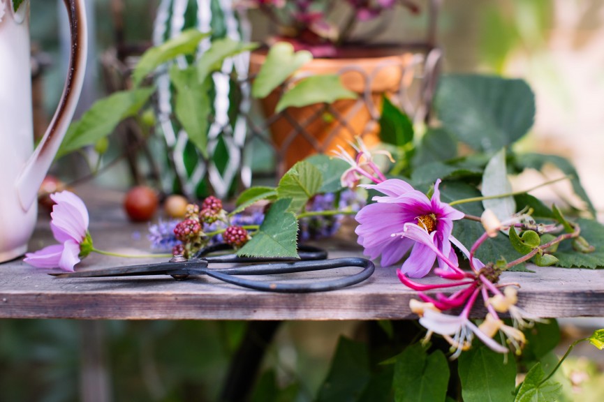 morning yoga 4 gardenhouse_flowers_krickelin-7362