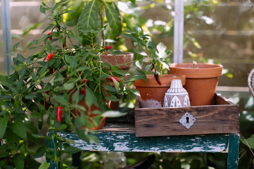 gardenhouse_flowers_krickelin-7368