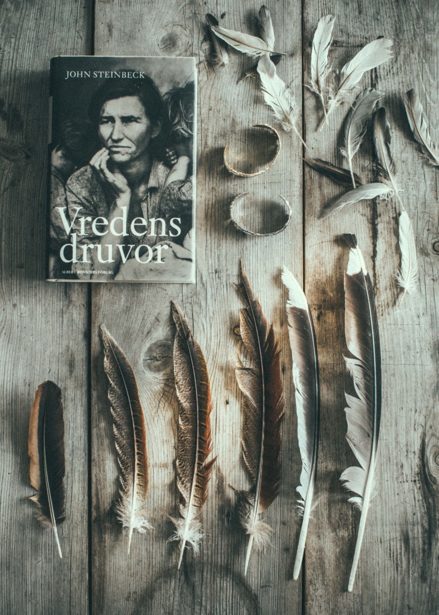 birdwiew.monday_krickelin-8705