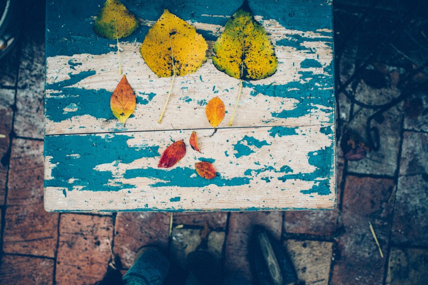 autumn_krickelin-9895