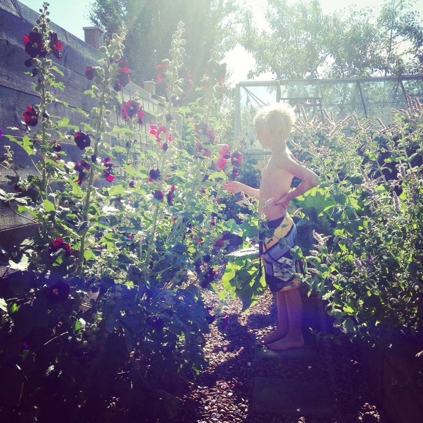 sommar_krickelin-6057