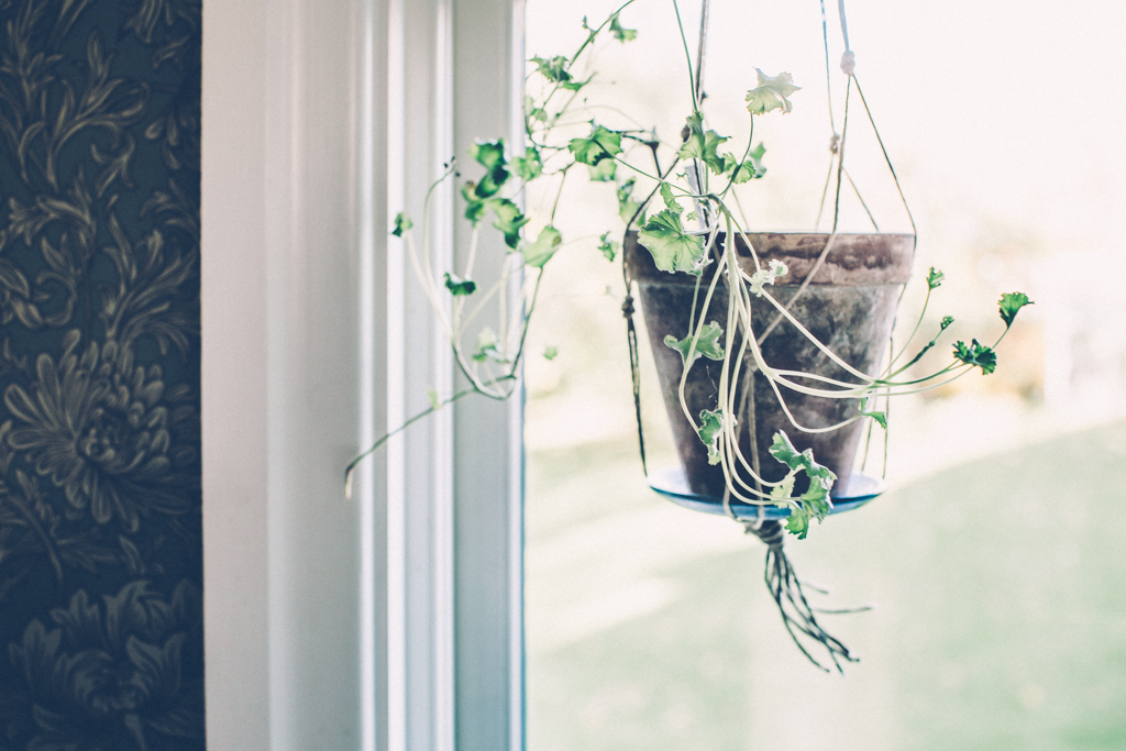 kanske en päronpaj med kolatäcke 7 kitchen_Kristin_ lagerqvist-5114