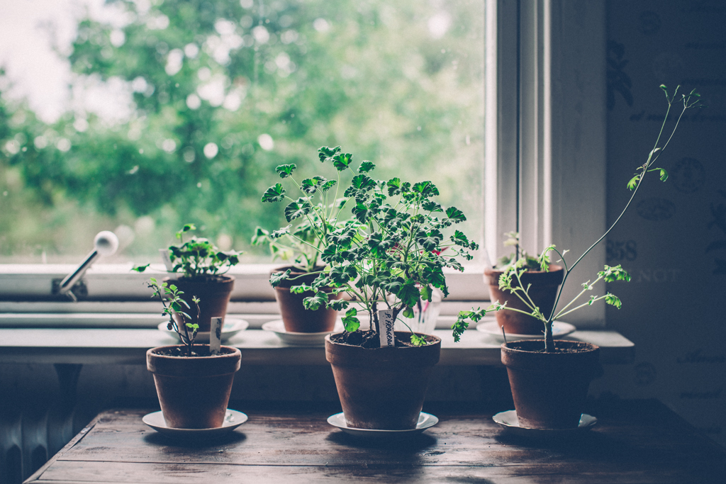 i fredags på Strömma Farmlodge 8 marina stromma_ lagerqvist-3573