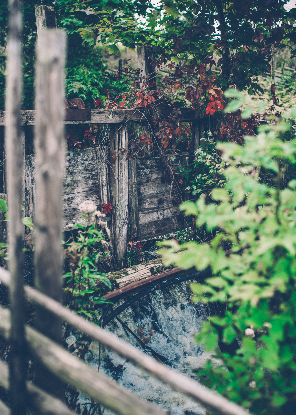 i fredags på Strömma Farmlodge 10 marina stromma_ lagerqvist-3617