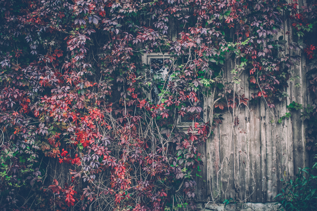 i fredags på Strömma Farmlodge 11 marina stromma_ lagerqvist-3621