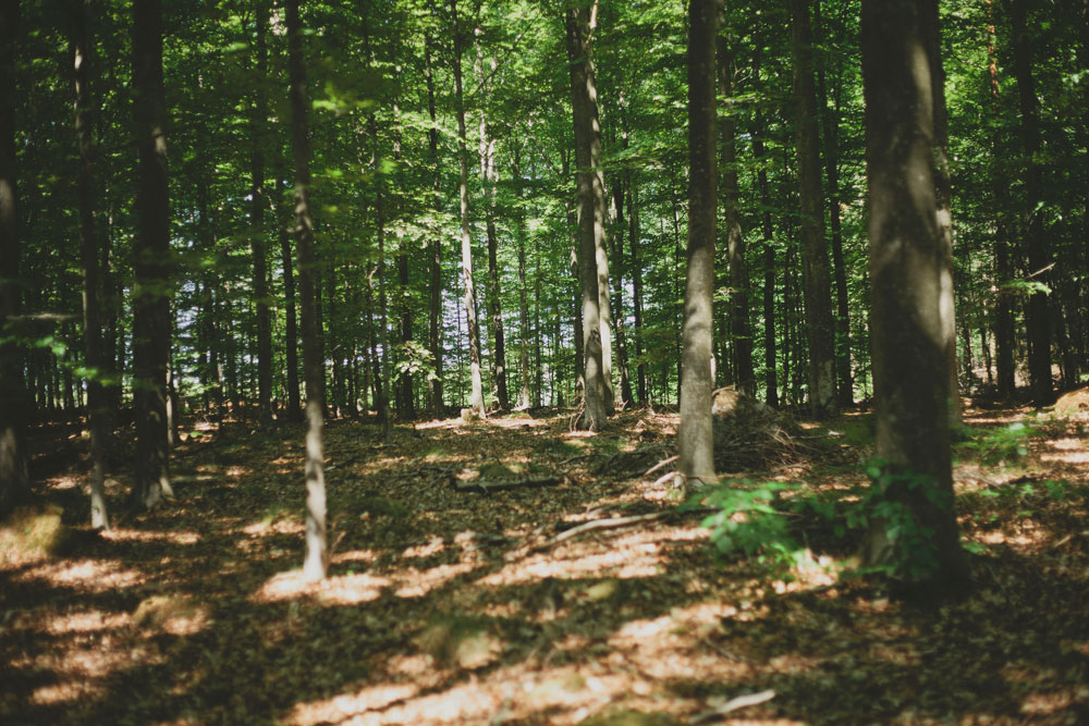 photographer - hannaskoog.com