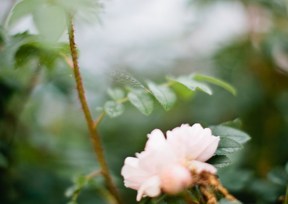 wedding photographer sweden wedding photographer sweden