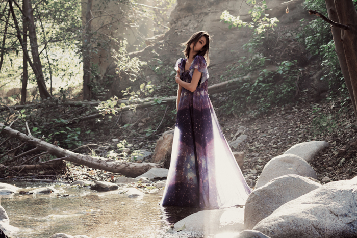 into-the-wildfox-7