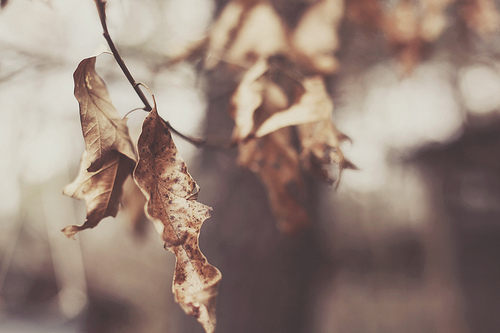 tumblr m2ql5pRj1w1qfb46yo1 500 A kind of feeling