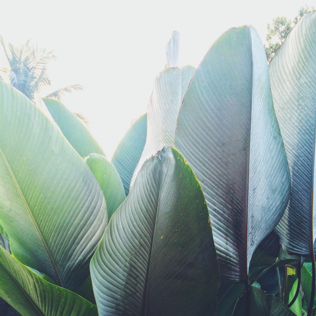 Processed with VSCOcam with f2 preset