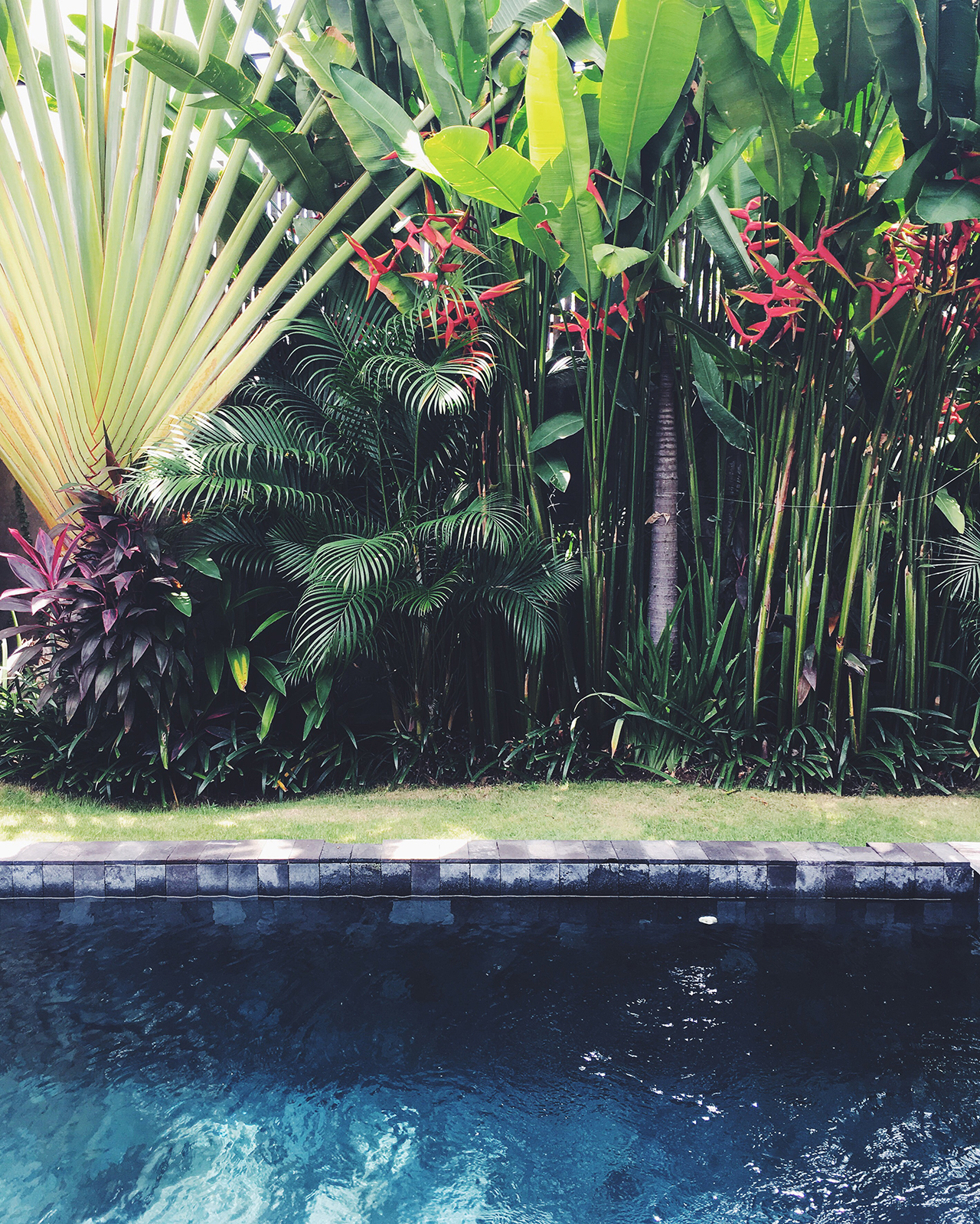 Touchdown Bali! 1 bali_hannaskoog2