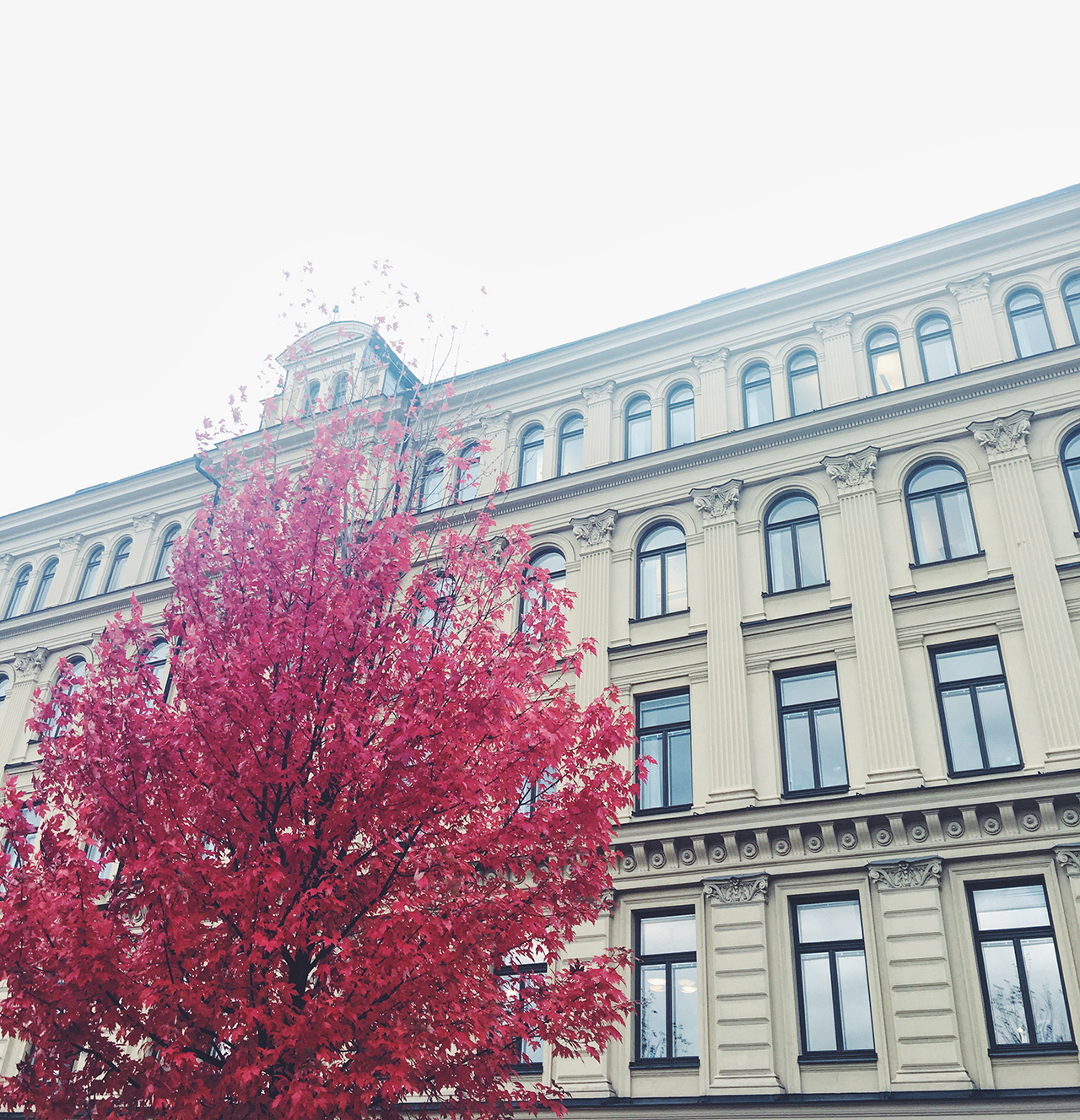 sthlm_autumn_hannaskoog