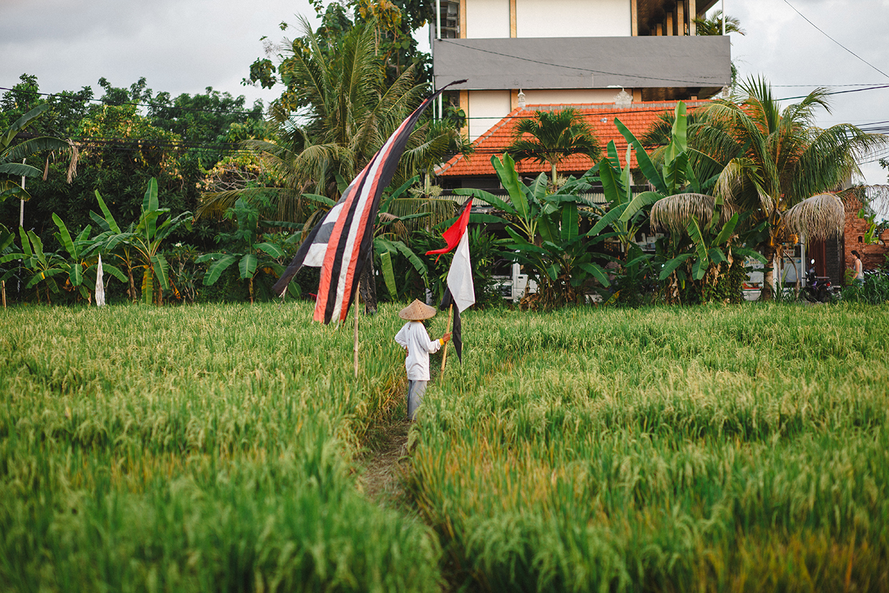 balishady_hannaskoog6