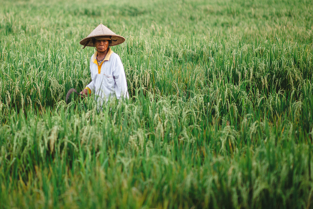 balishady_hannaskoog9