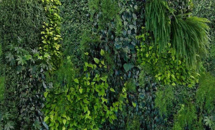 Green Wall Mr Perswall