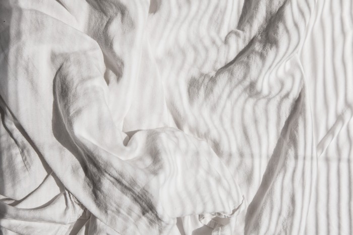 Fantastic Frank © Anna  Malmberg