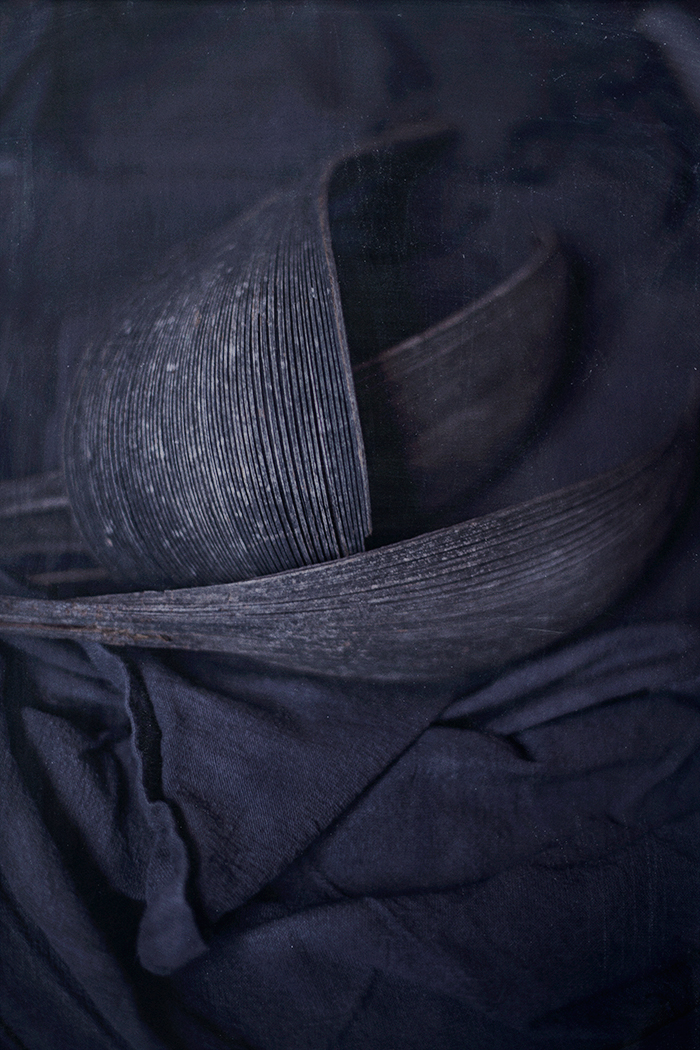 linne © Anna  Malmberg (2)