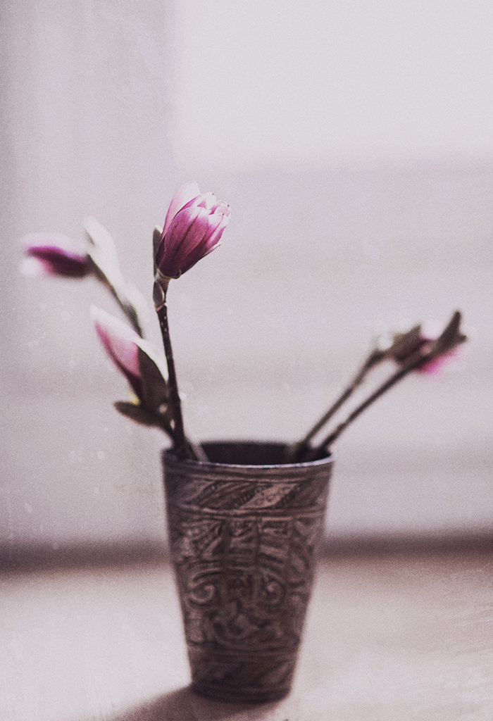 Magnolia-III-©-Anna--Malmberg-1