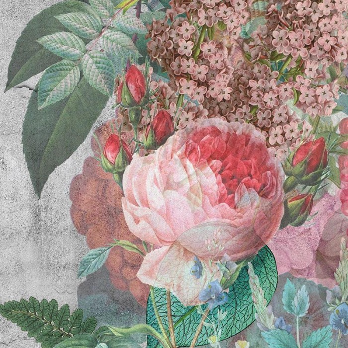 Flower Maniac - Roses are red and madness is good Mr Perswall