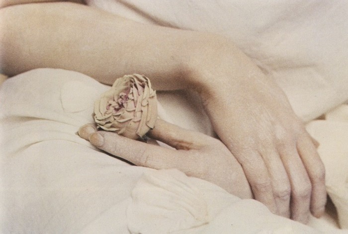 deborah turbeville wallflower