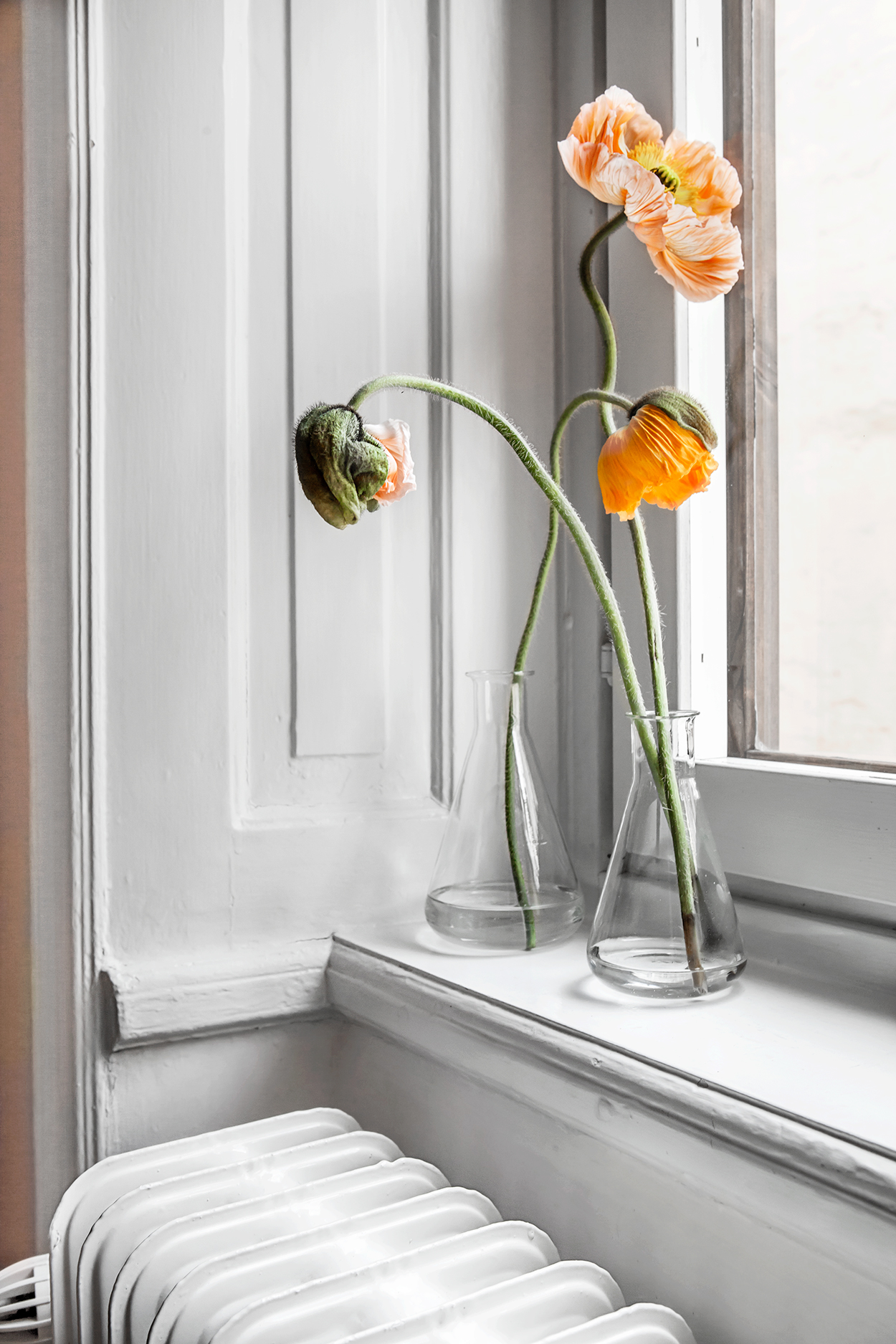 Krukmakargatan-38,-copyright-2016--Anna-Malmberg-29