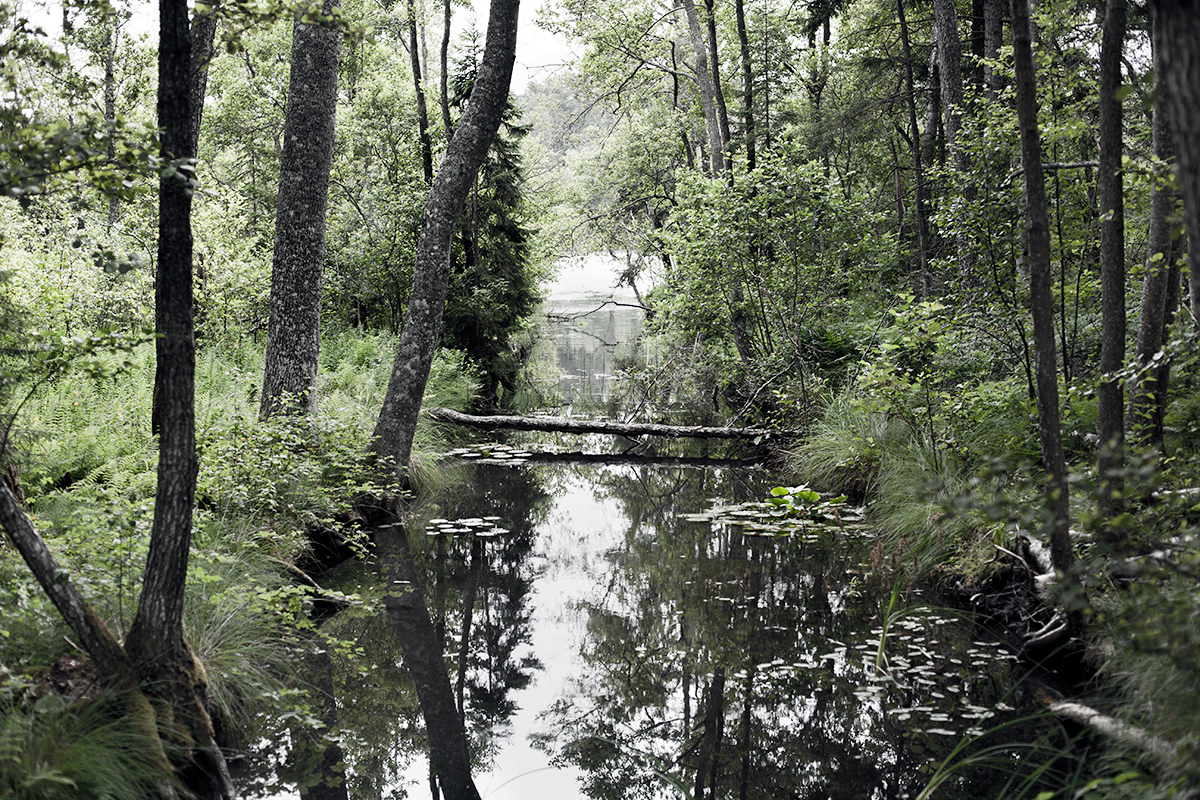 Svartsö Logi - ett annorlunda boende i skärgården 34 Svartso Logi, copyright 2016 Anna Malmberg 35