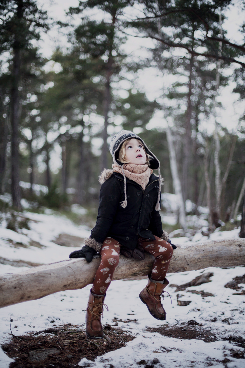 Sonny Lou and the winter copyright 2016 Anna Malmberg