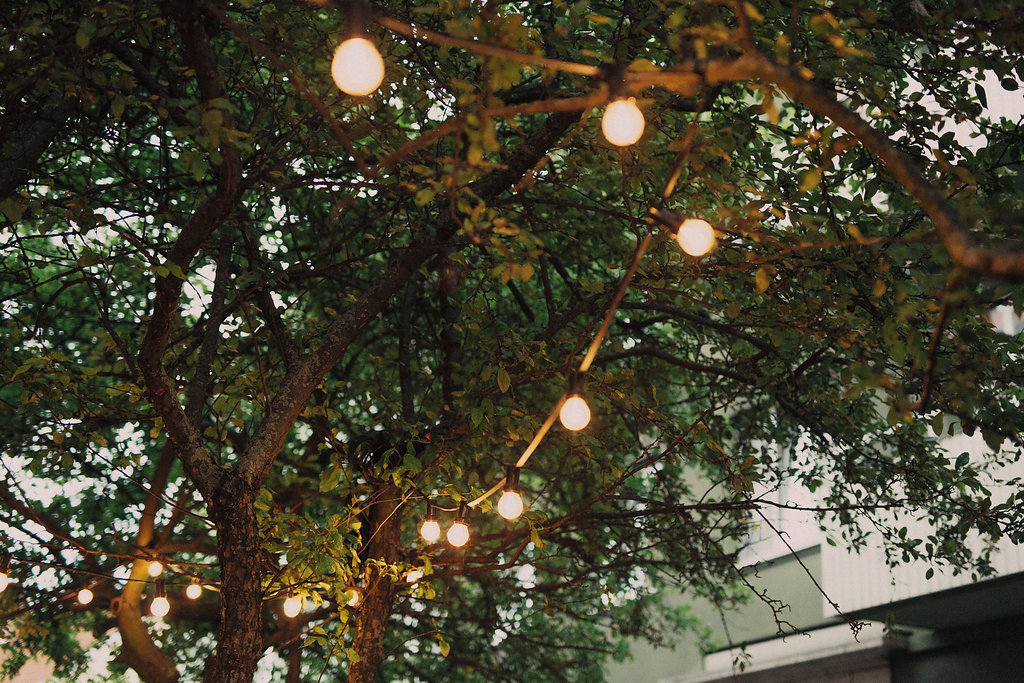 Bok release photo Isabell n wedin 4