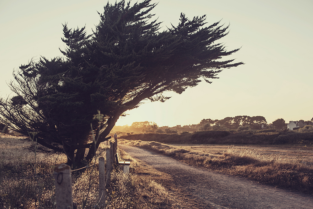 roadtripin Bretagne copyright 2017  Anna  Malmberg 8