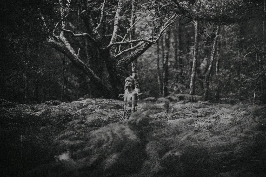 99B1204 Into the woods