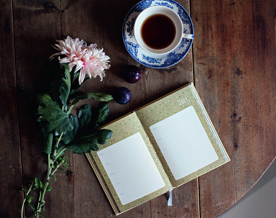 frankie daily journal 2017 frankie daily journal vintagefabriken