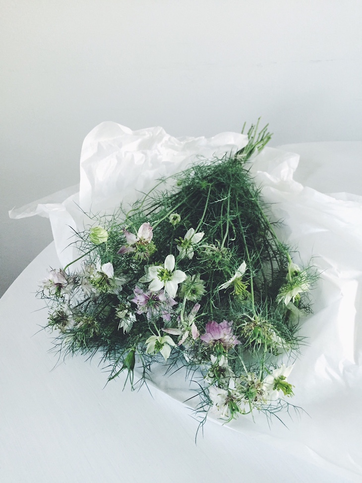 jungfrun i det gröna