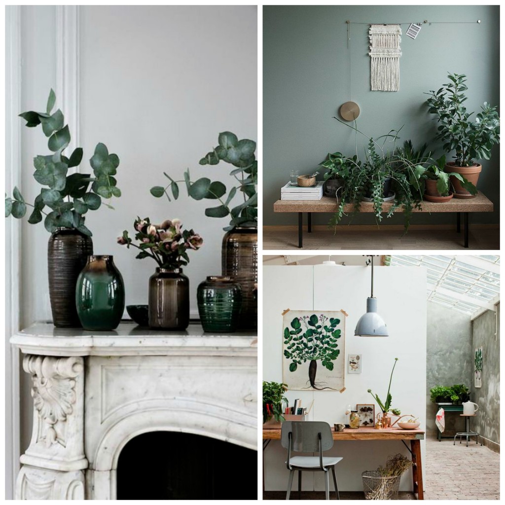 green interiors