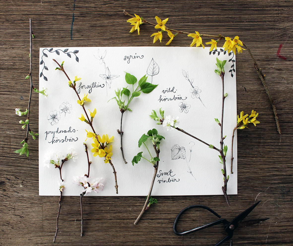 SpringFlowerMoodboard_HannaWendelbo