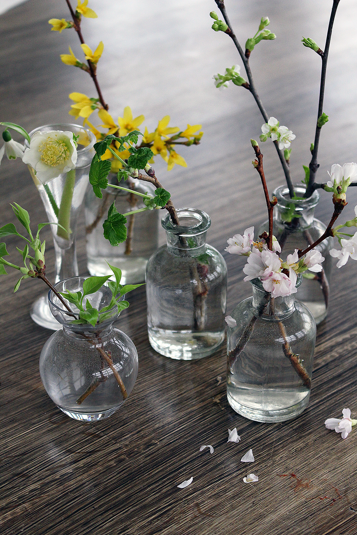 SpringFlowersInBloom_HannaWendelbo