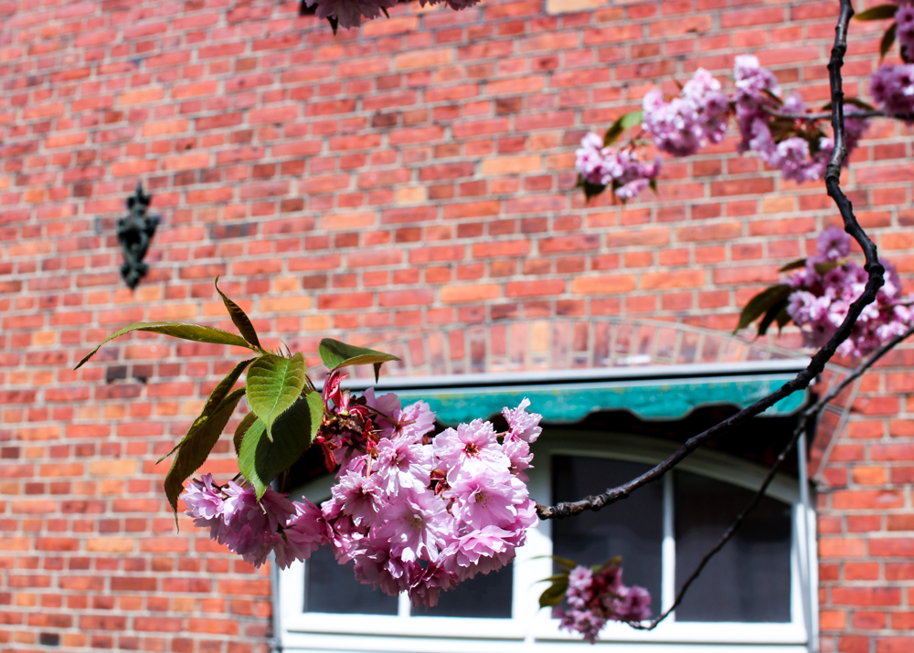 lovely life jonkoping-13