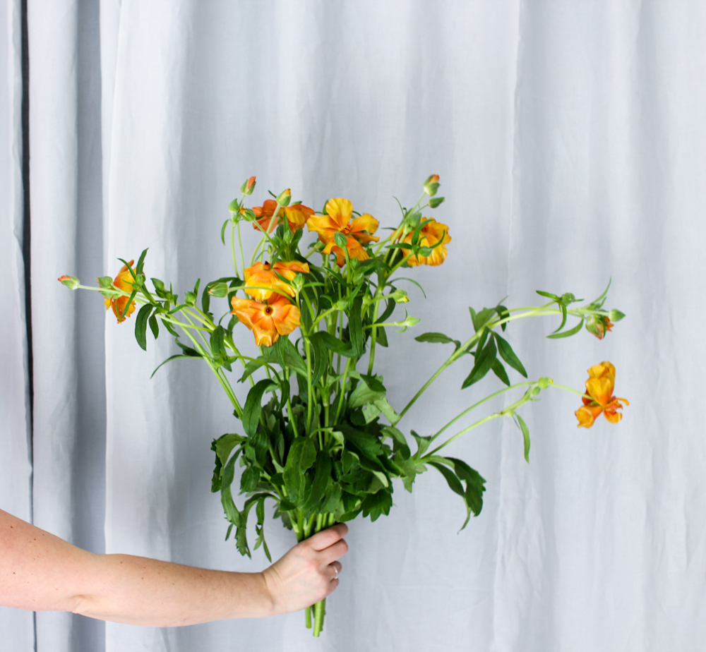 fredagsbukett april-2