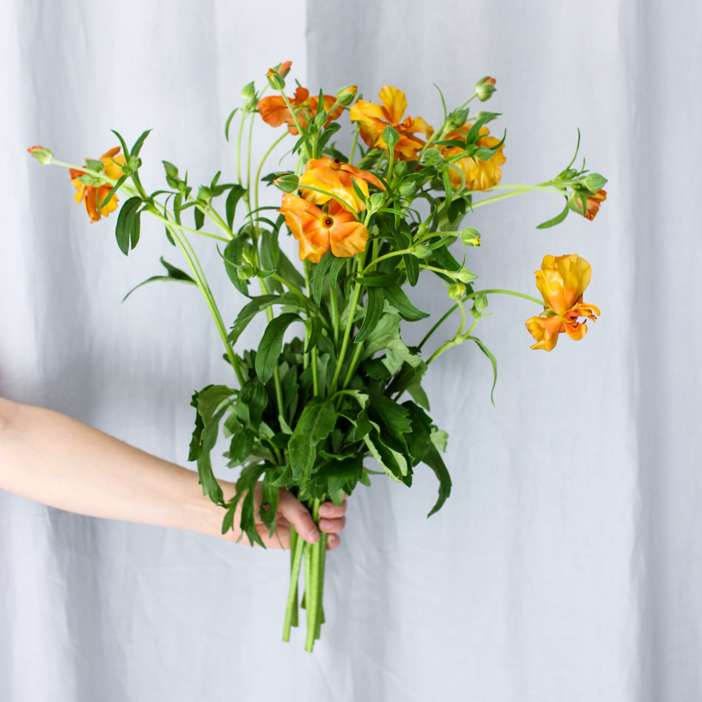 fredagsbukett april-5