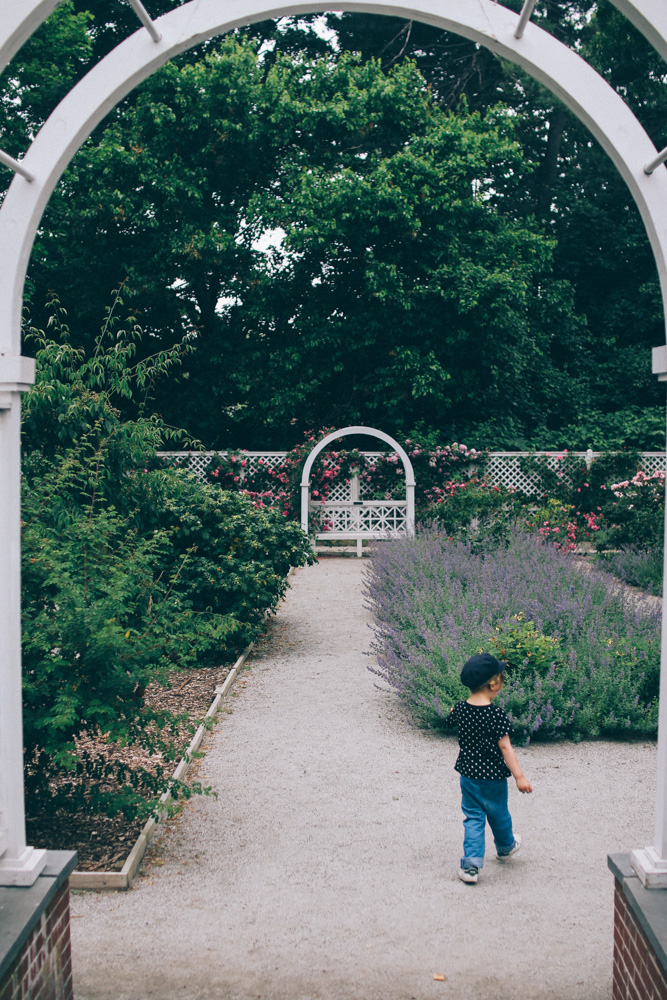 rose garden snug harbour