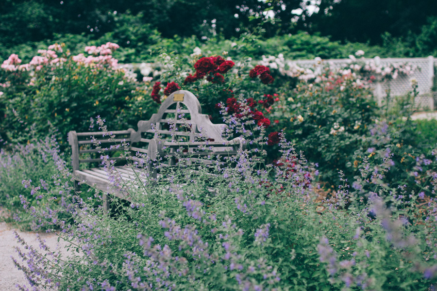 rose garden snug harbour-5