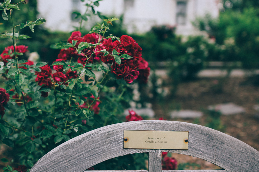 rose garden snug harbour-6