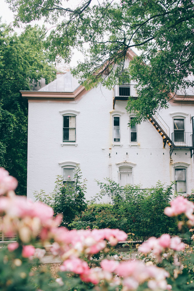 rose garden snug harbour