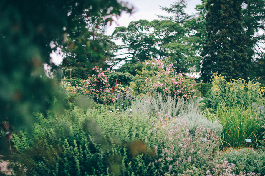 bergianska tradgarden-16