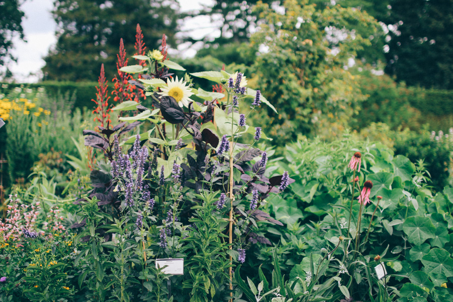 bergianska tradgarden-19
