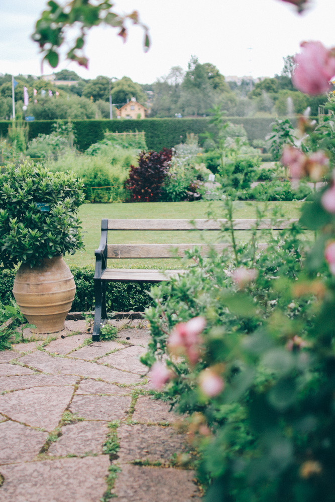 bergianska tradgarden-20
