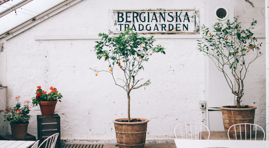 bergianska tradgarden-24