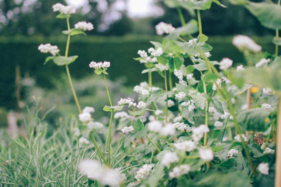 bergianska tradgarden-3