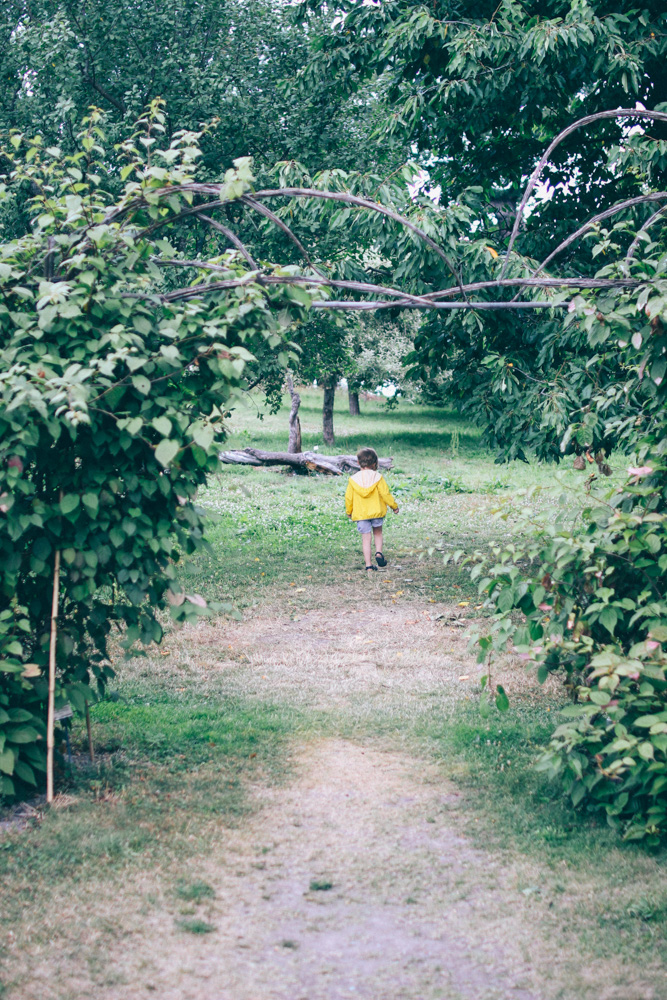 bergianska tradgarden-42