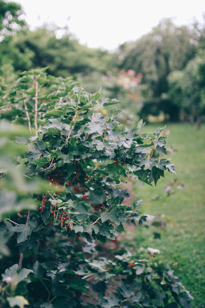 bergianska tradgarden-44