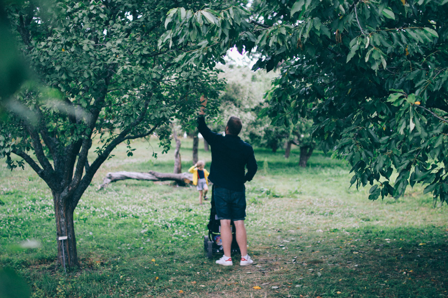 bergianska tradgarden-45